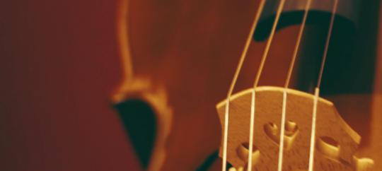 Software ontwikkeling streamingdienst Primephonic