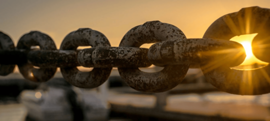 Circular IQ maatwerk software ontwikkeling voor duurzaamheid supply chain