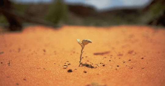 Een Minimum Viable Product (MVP) ontwikkelen