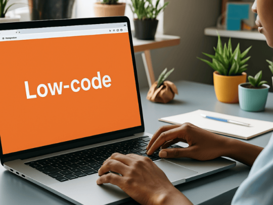 Low-code software